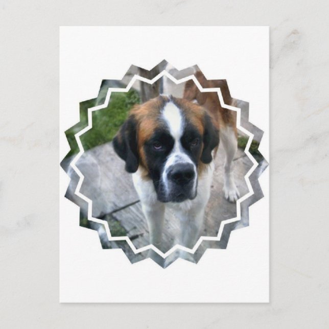 Postal fotográfica de San Bernard (Anverso)