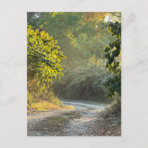 Postal fotográfica de sendero de otoño