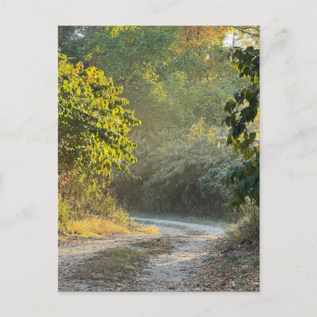 Postal fotográfica de sendero de otoño (Anverso)