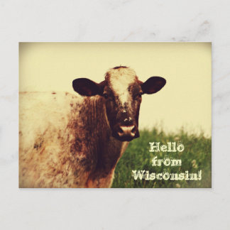 Postal fotográfica de vaca de Wisconsin