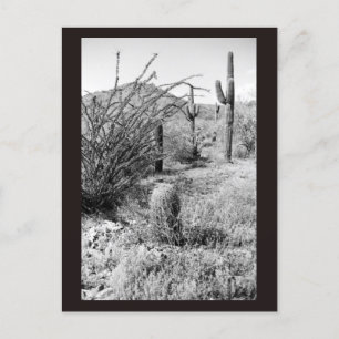 Postal fotográfica del jardín del desierto de Cact