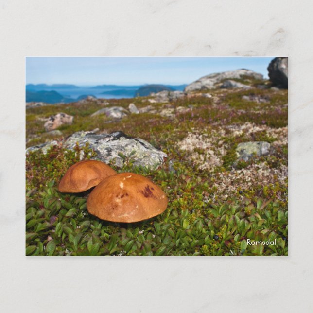 Postal fotográfica del paisaje de montaña. Noruega (Anverso)