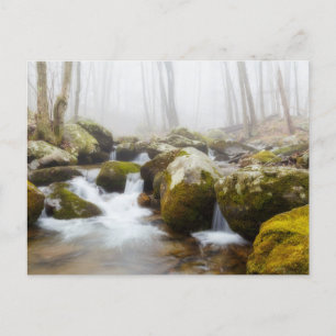 Postal fotográfica Misty Rocky Stream