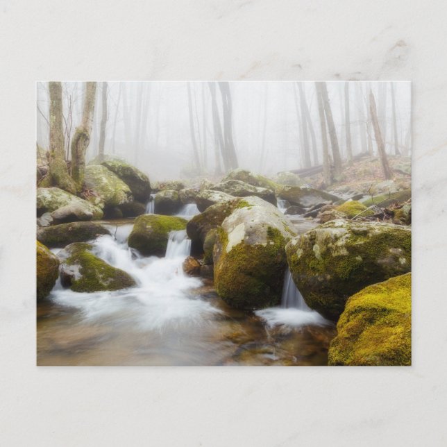 Postal fotográfica Misty Rocky Stream (Anverso)