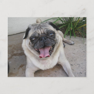 Postal fotográfica personalizada Personalizado