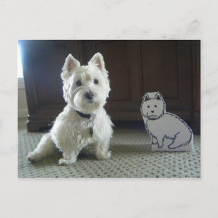 Postal fotográfica Twin Westies