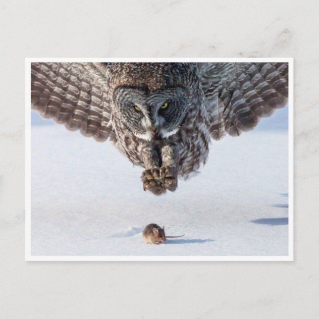 Postal fotográfica vintage (Anverso)