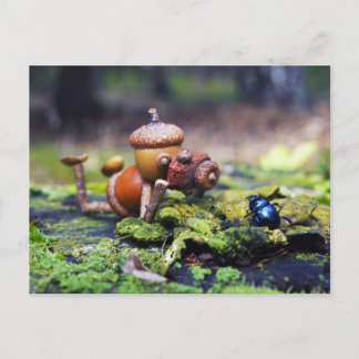 Postal Fotógrafo elfo de Acorn con error