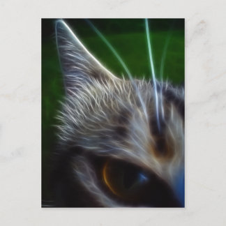 Postal Fotomanipulación ocular del gato
