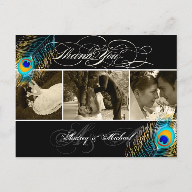 Postal Fotos de boda de pavo real de PixDezines Gracias (Anverso)