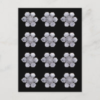 Fotos de cristal de Snowflake