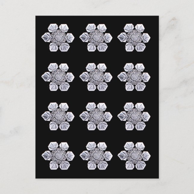 Postal Fotos de cristal de Snowflake (Anverso)