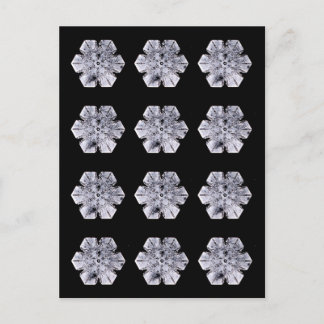 Postal Fotos de cristal de Snowflake