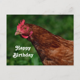 Postal Fotos de la cara de pollo rojo bonito Cumpleaños
