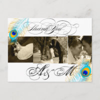 Fotos de PixDezines Peacock Bodas Gracias