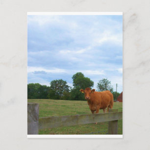 Postal Fotos del campo inglés