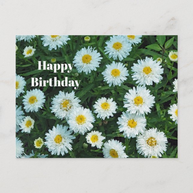 Postal Fotos florales de Little White Daisies cumpleaños (Anverso)