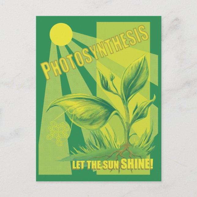 Postal Fotosíntesis (Anverso)