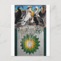 Fowl Language, de Paul Jackson aws, noticias
