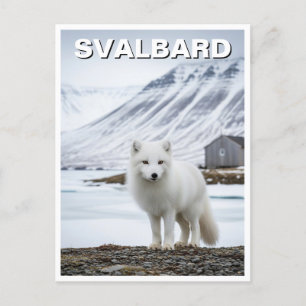 Postal Fox ártica en Svalbard Noruega
