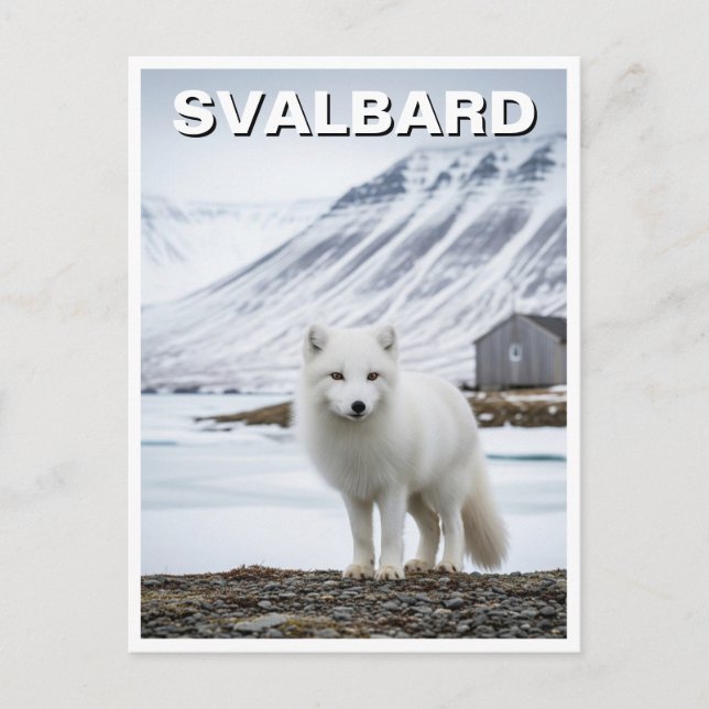Postal Fox ártica en Svalbard Noruega (Anverso)