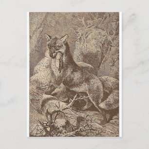 Postal Fox con su matanza