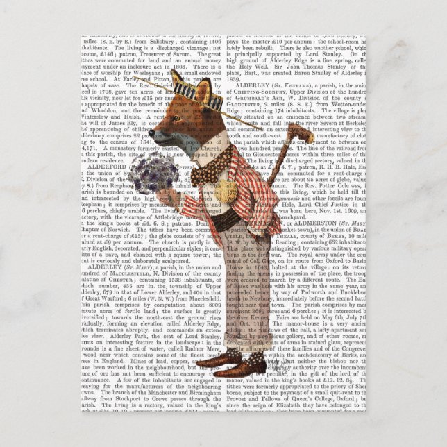 Postal Fox en Boater (Anverso)