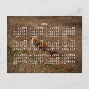 Postal Fox en la hierba; Calendario 2013