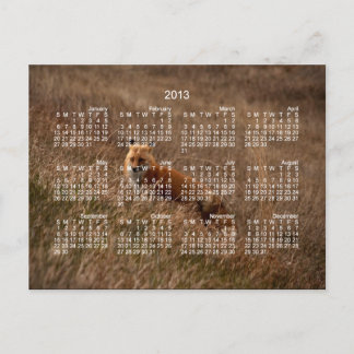 Postal Fox en la hierba; Calendario 2013