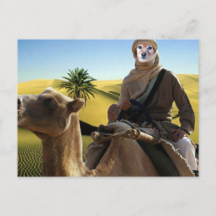 Postal Fox Es Lawrence De Arabia