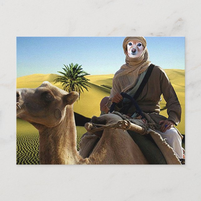 Postal Fox Es Lawrence De Arabia (Anverso)