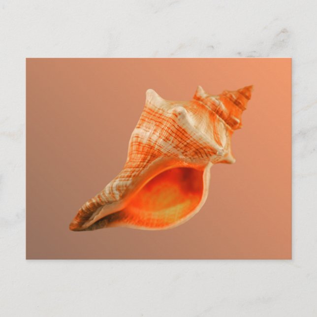 Postal Fox pelado (Anverso)