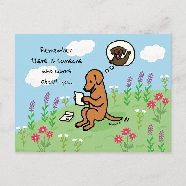 Postal Fox Red Labrador y la carta que alguien quiere (Anverso)