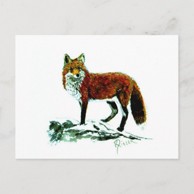Postal Fox roja (Anverso)