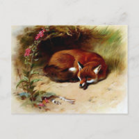 Fox rojo delante de su guarida
