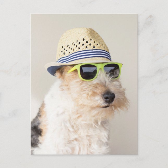 Postal Fox Terrier (Anverso)
