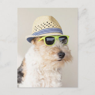 Postal Fox Terrier