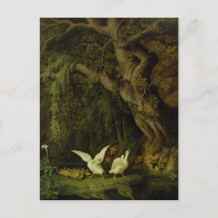 Postal Foxes y Geese
