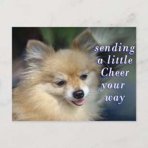 Postal Foxy Cheery Postcard - agrega tus palabras