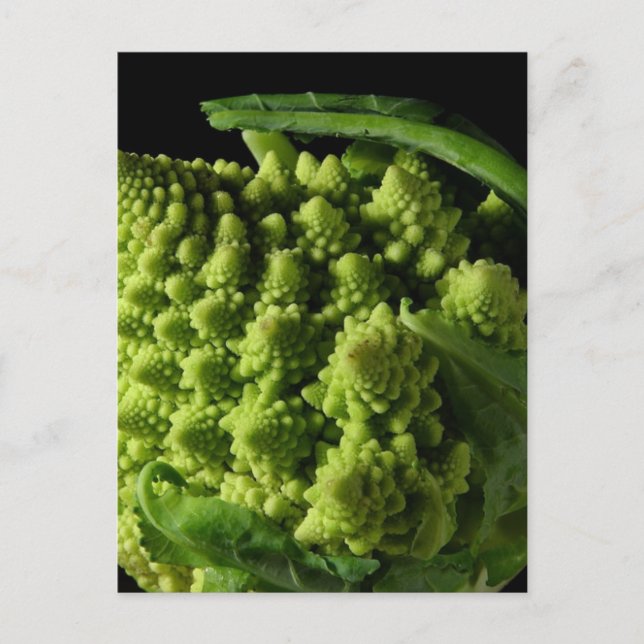 Postal Fractales de brócoli de Romanesco (Anverso)