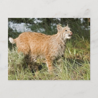 Postal Fractalius Bobcat