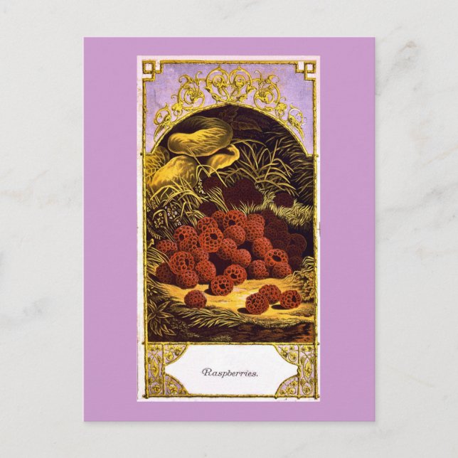 Postal Frambuesas - Anuncio de época 1874 (Anverso)