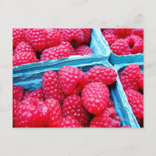 Postal Frambuesas frescas
