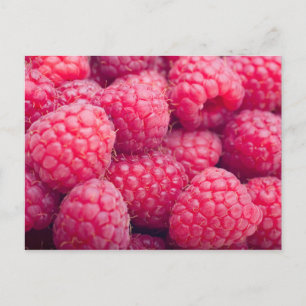 Postal Frambuesas frescas