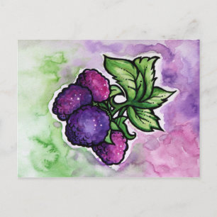 Postal Frambuesas negras adorables Raspberry púrpura