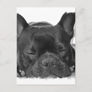 Postal francesa de Bulldog