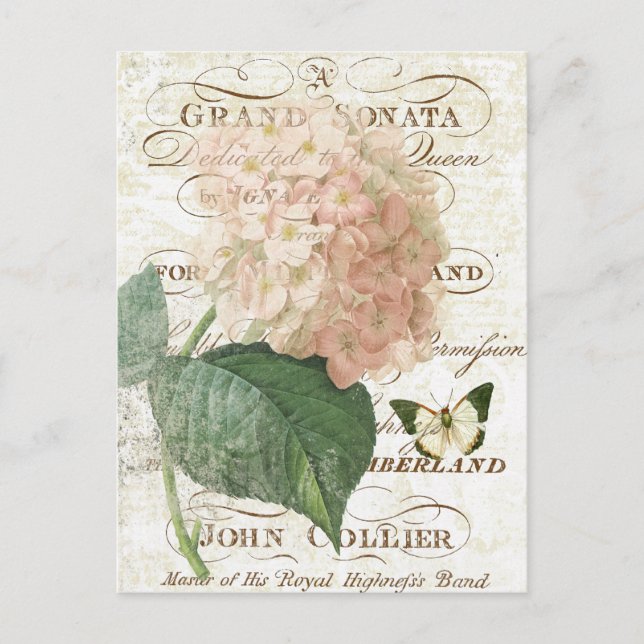 Postal francesa de hortensias botánicas vintage (Anverso)