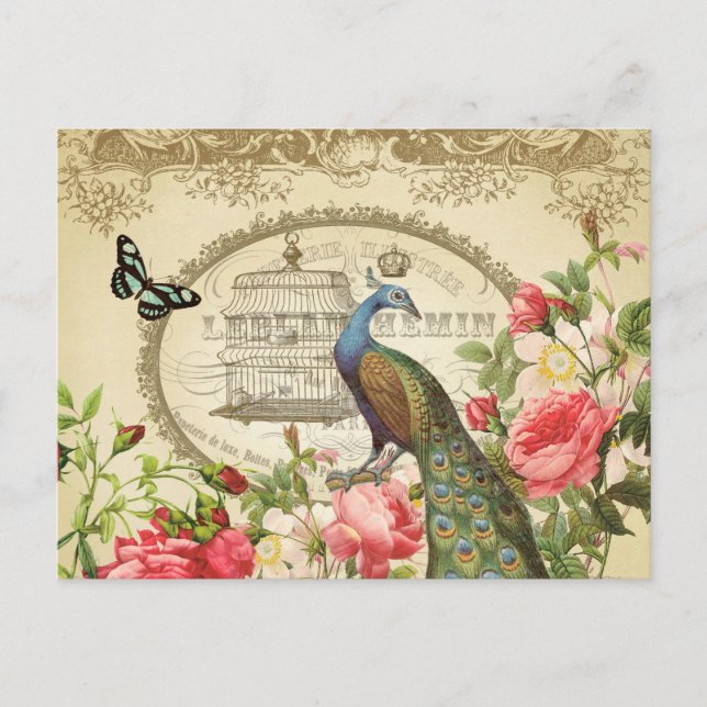 Postal francesa de pavo real vintage (Anverso)