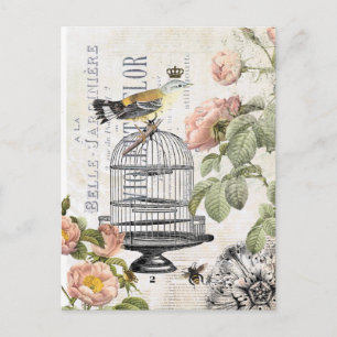 Postal francesa del pájaro del vintage