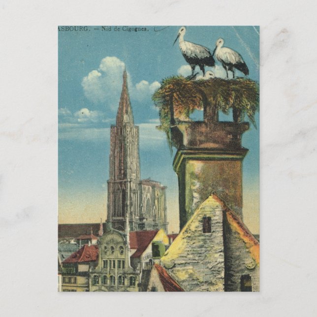 Postal Francia antigua, Estrasburgo, nidos de cigüeña 193 (Anverso)